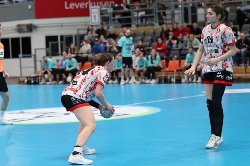 20260329 BayerLevNuiertingen 0285