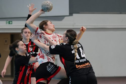 20260329 BayerLevNuiertingen 0291