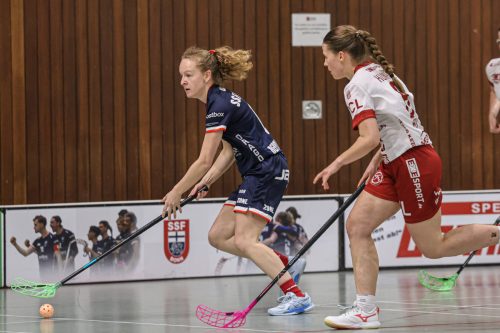 20260328 SSFBonnMFBC 0108