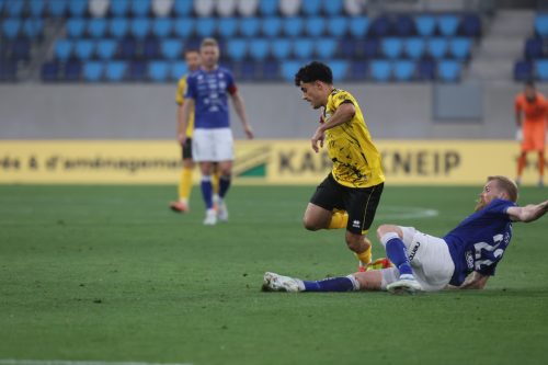 20260715 BiissenKI 0252