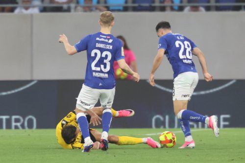 20260715 BiissenKI 0283