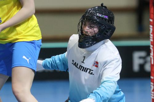 20240508 NORSWE 0064