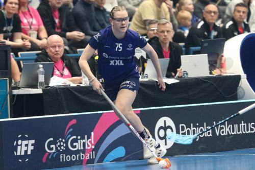 20240511 Fin SWEFIN 0033