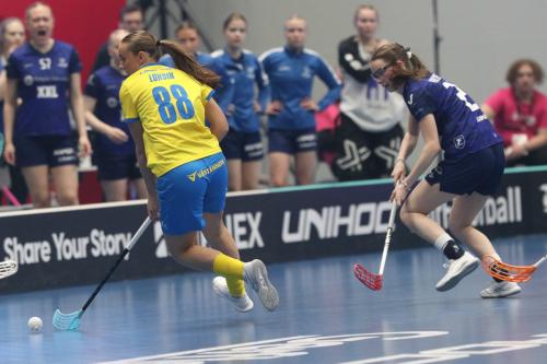 20240511 Fin SWEFIN 0034