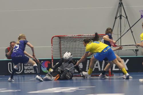 20240511 Fin SWEFIN 0036