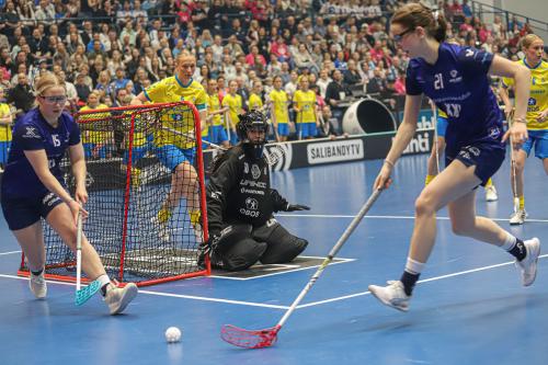 20240511 Fin SWEFIN 0044