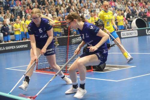 20240511 Fin SWEFIN 0045