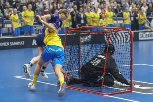 20240511 Fin SWEFIN 0050