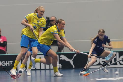 20240511 Fin SWEFIN 0059