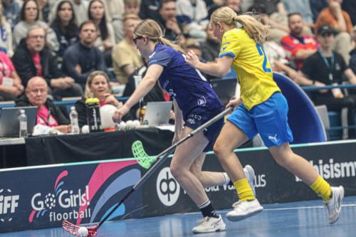 20240511 Fin SWEFIN 0061