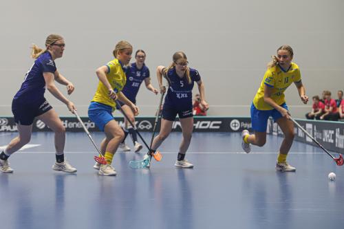 20240511 Fin SWEFIN 0102