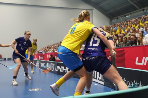 20240511 Fin SWEFIN 0107