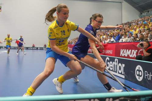 20240511 Fin SWEFIN 0113