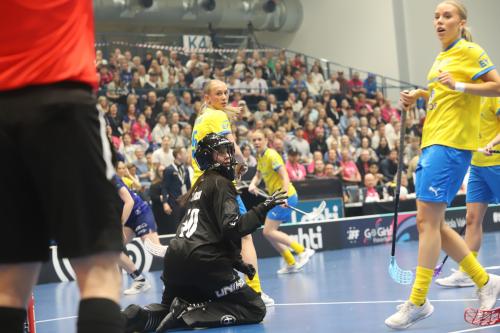 20240511 Fin SWEFIN 0127