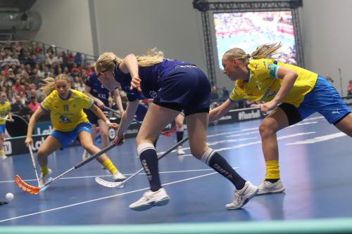 20240511 Fin SWEFIN 0161