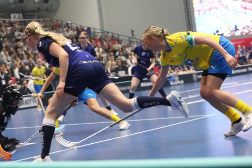 20240511 Fin SWEFIN 0162