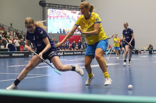 20240511 Fin SWEFIN 0172