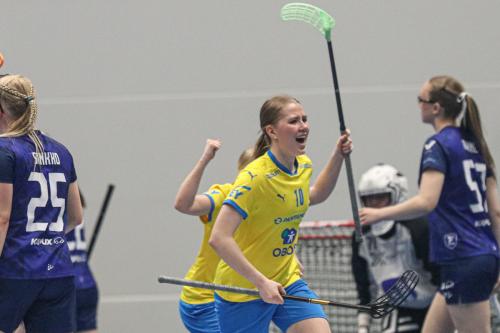 20240511 Fin SWEFIN 0183