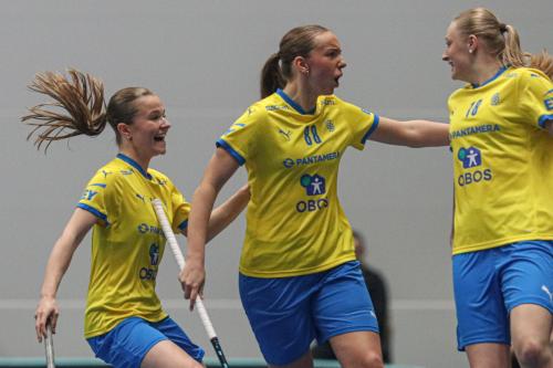 20240511 Fin SWEFIN 0187