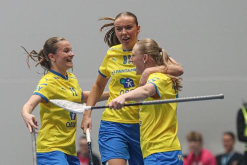 20240511 Fin SWEFIN 0188