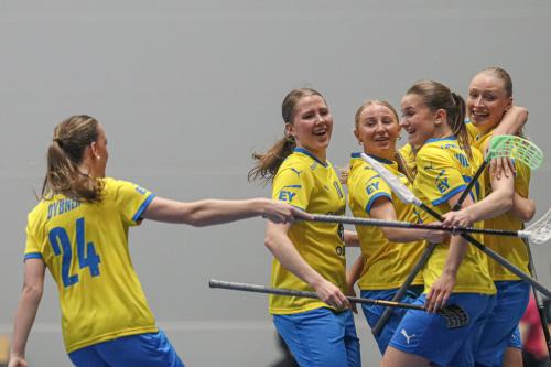 20240511 Fin SWEFIN 0191