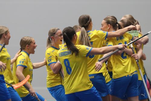 20240511 Fin SWEFIN 0193