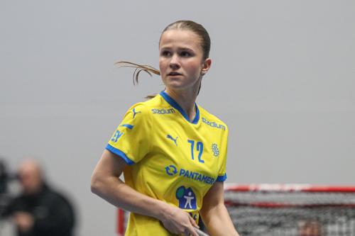 20240511 Fin SWEFIN 0201