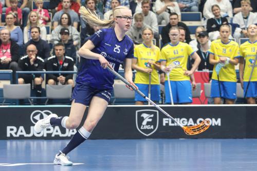 20240511 Fin SWEFIN 0204