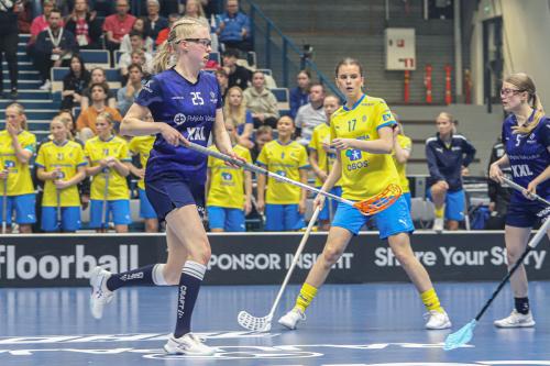 20240511 Fin SWEFIN 0206