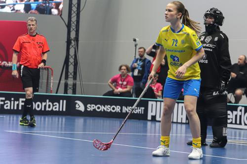 20240511 Fin SWEFIN 0210