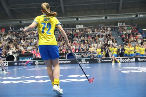 20240511 Fin SWEFIN 0220