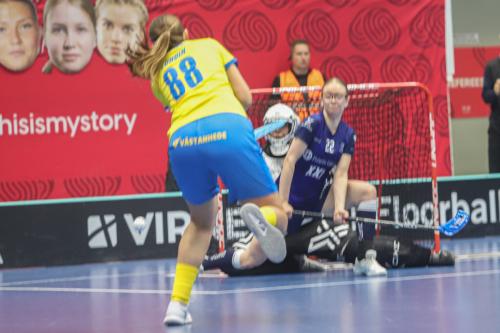 20240511 Fin SWEFIN 0224