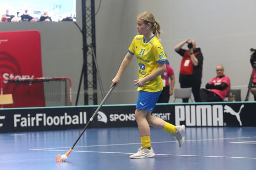 20240511 Fin SWEFIN 0227