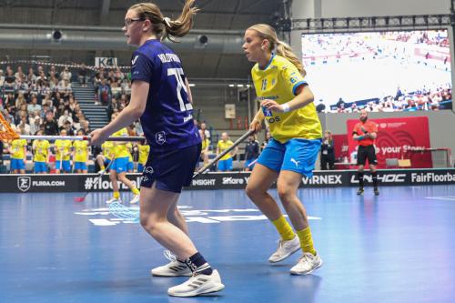 20240511 Fin SWEFIN 0232