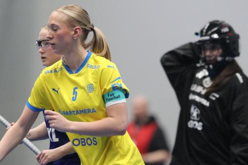 20240511 Fin SWEFIN 0235