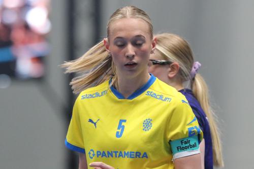 20240511 Fin SWEFIN 0236