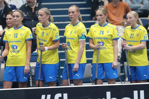 20240511 Fin SWEFIN 0244