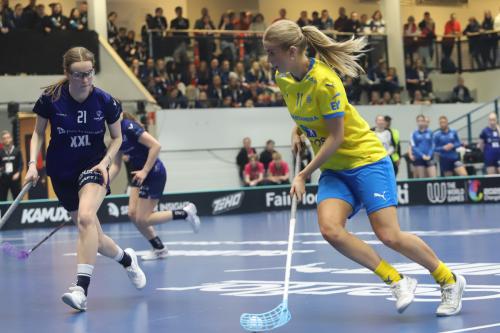 20240511 Fin SWEFIN 0251