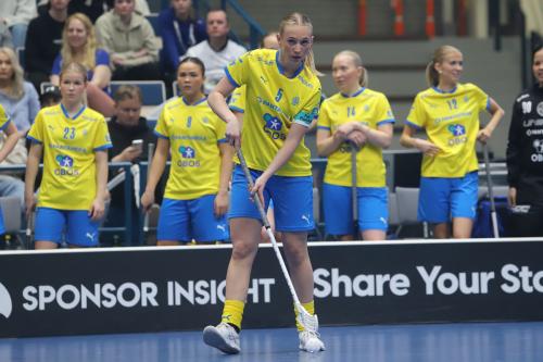 20240511 Fin SWEFIN 0291