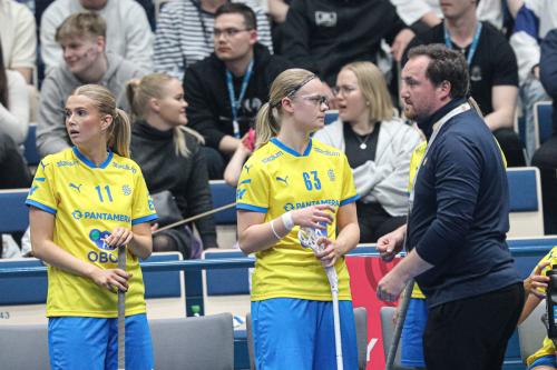 20240511 Fin SWEFIN 0292