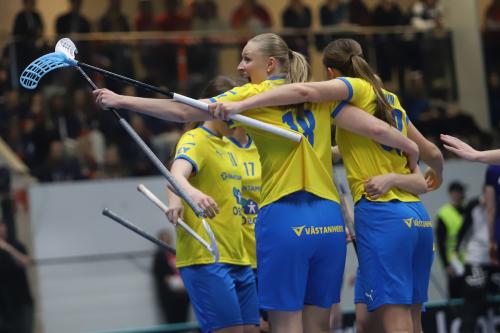 20240511 Fin SWEFIN 0302