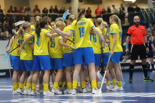 20240511 Fin SWEFIN 0305