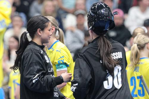 20240511 Fin SWEFIN 0306