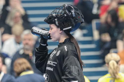 20240511 Fin SWEFIN 0307