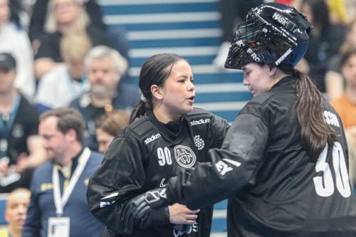 20240511 Fin SWEFIN 0308