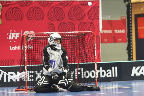 20240511 Fin SWEFIN 0309