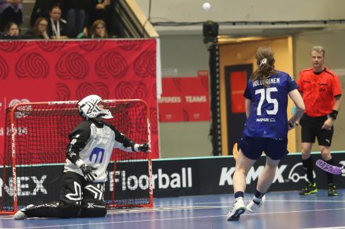 20240511 Fin SWEFIN 0310