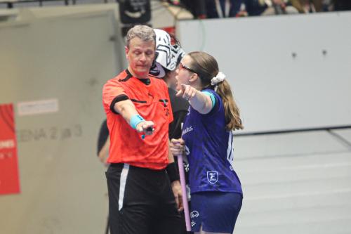 20240511 Fin SWEFIN 0312