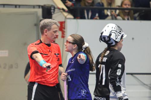 20240511 Fin SWEFIN 0313