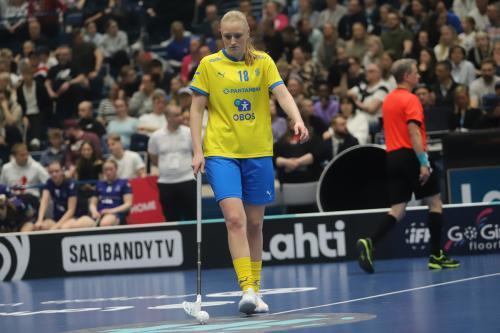 20240511 Fin SWEFIN 0315